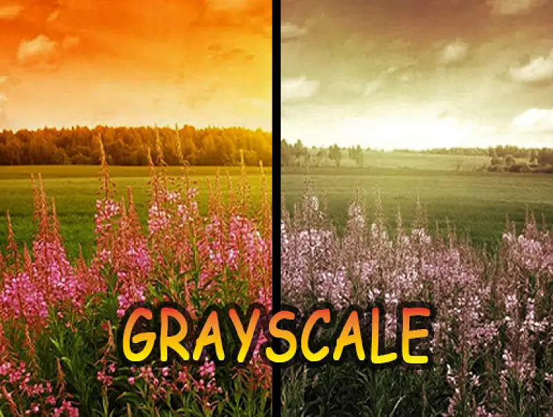 GrayScale_CameraPostEffect Asset Image