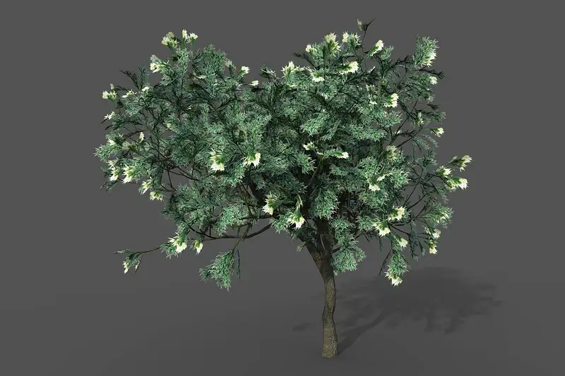 3D Tea tree Asset Thumbnail