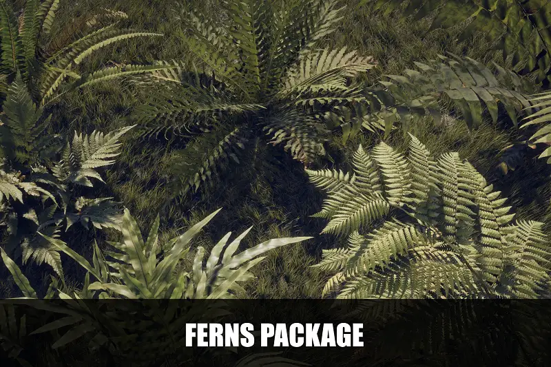 Realistic Ferns for Unity Asset Thumbnail