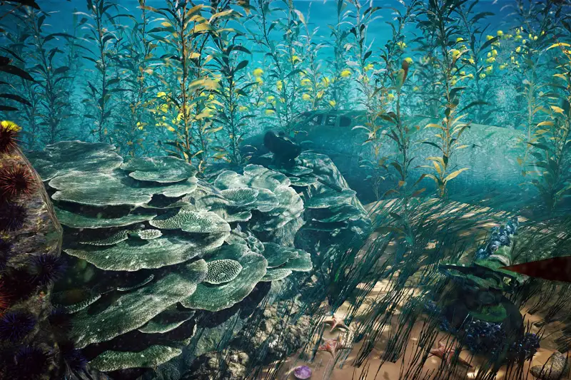 Marine Biome 3D Models Asset Thumbnail
