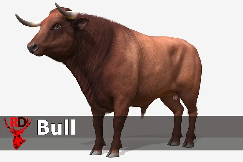 Bull realistic Asset Thumbnail