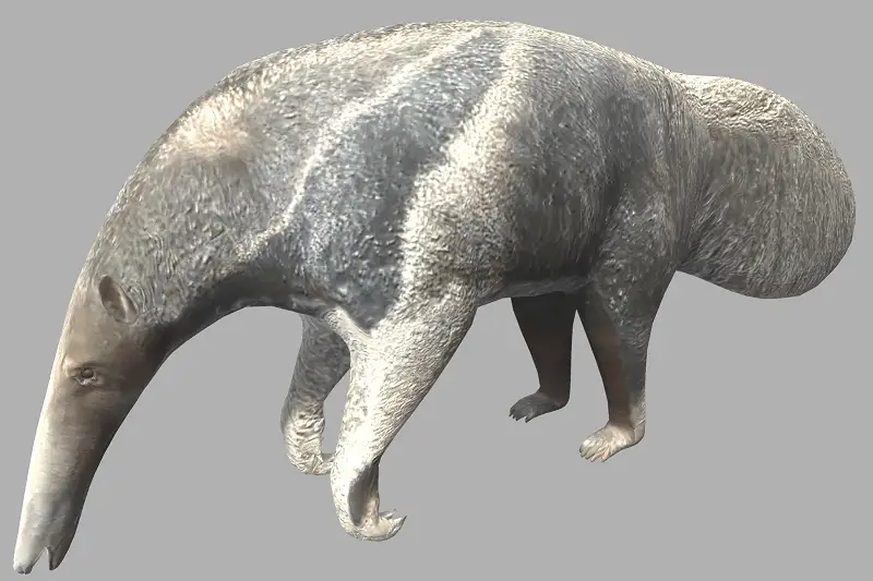 Giant Anteater 3D Model and Animation Asset Thumbnail