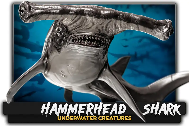 Hammerhead Shark 3D Model for Unity and Unreal Engine Asset Thumbnail
