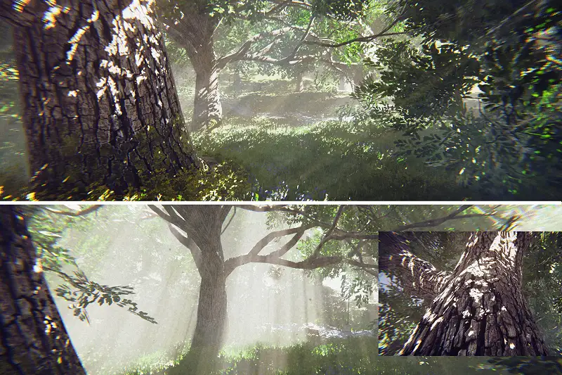 Big Oak Asset Thumbnail