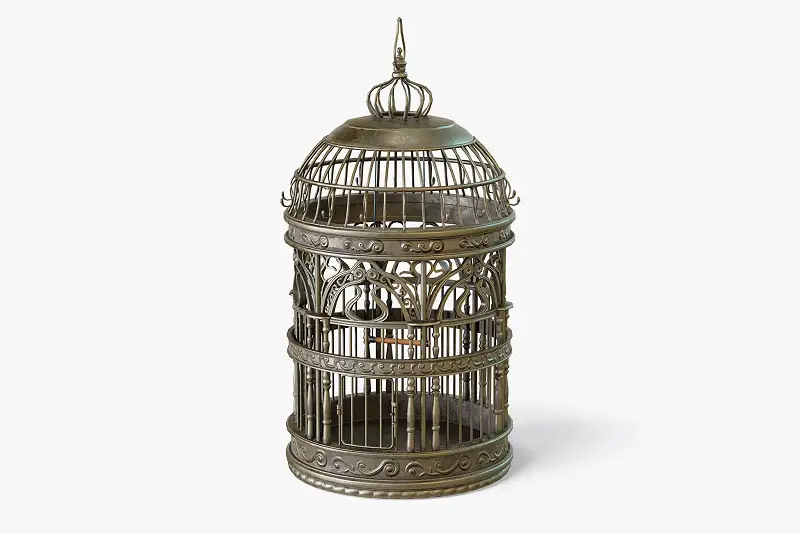 Birdcage Classic Victorian Asset Thumbnail