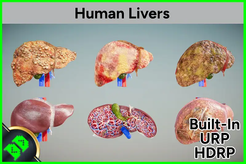 Human Livers 3D Model Asset Thumbnail