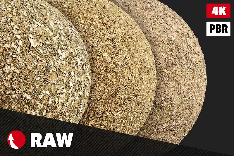Forest Ground Textures Pack #5 Asset Thumbnail