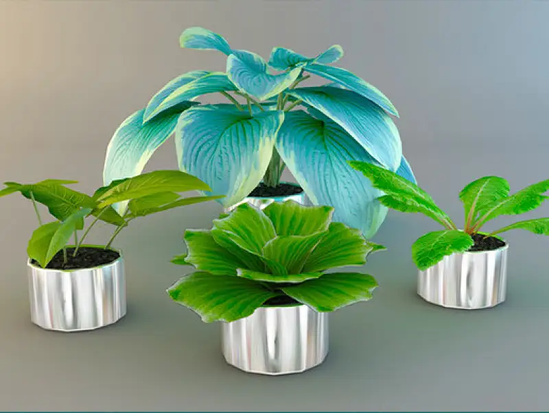 Plants Vol 3 Asset Thumbnail
