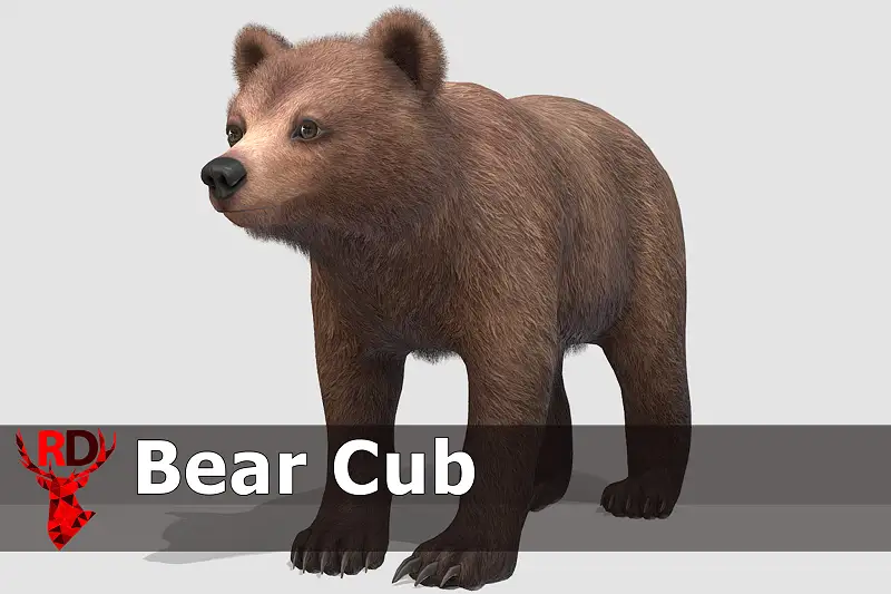 Realistic Bear Cub Model with 80+ Animations Asset Thumbnail