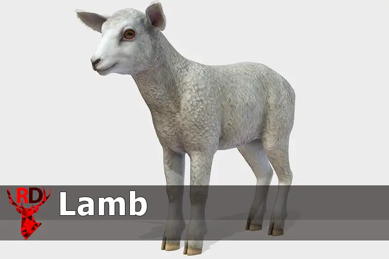 Lamb Asset Thumbnail