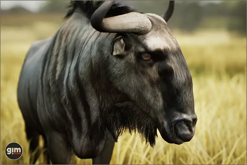 Blue Wildebeest (Male) 3D Model Asset Thumbnail