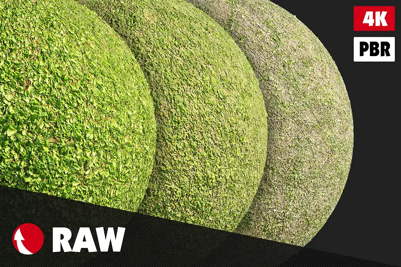 Grass Textures Pack #5 Asset Thumbnail