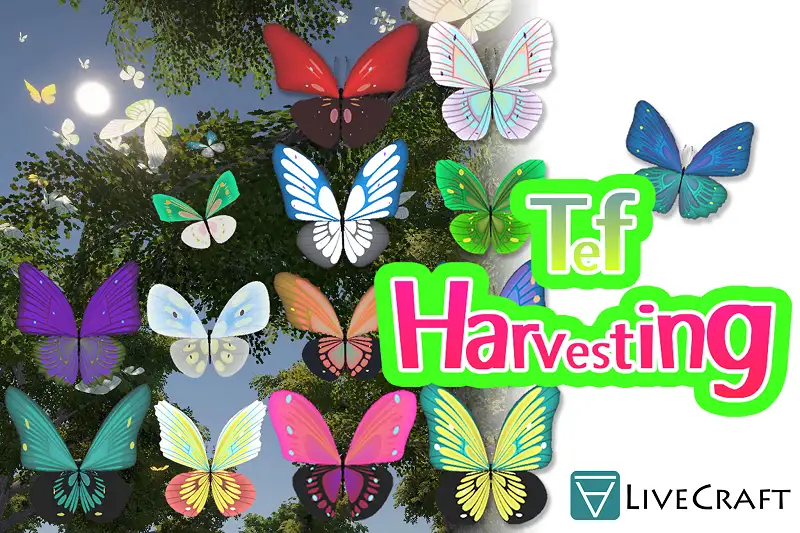 Tef@LiveCraft: Add Interactive Butterflies to Your Unity World Asset Thumbnail