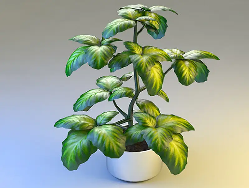 HQ Plant Asset Thumbnail