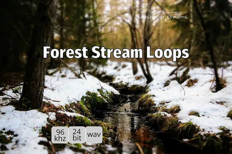 Forest Stream Loops Asset Thumbnail