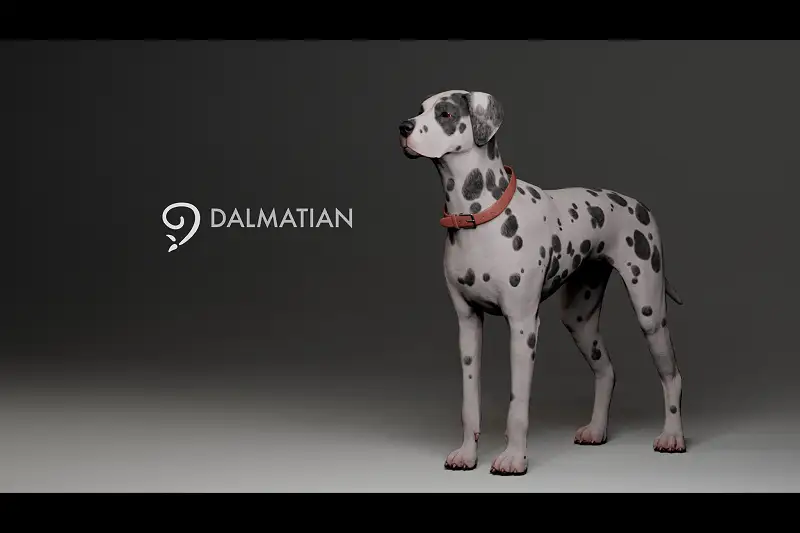 Dalmatian Asset Thumbnail