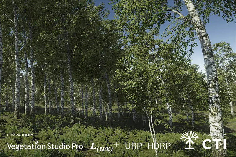 Birch Trees Package Asset Thumbnail