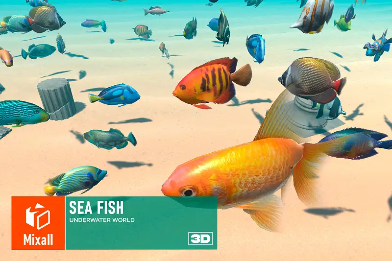 Underwater Fish Collection Asset Thumbnail