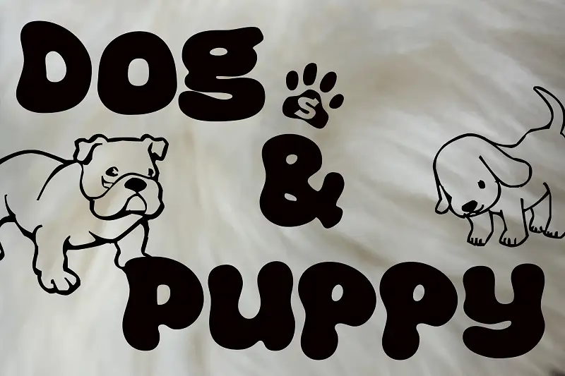 Dog Sound Effects Package Asset Thumbnail