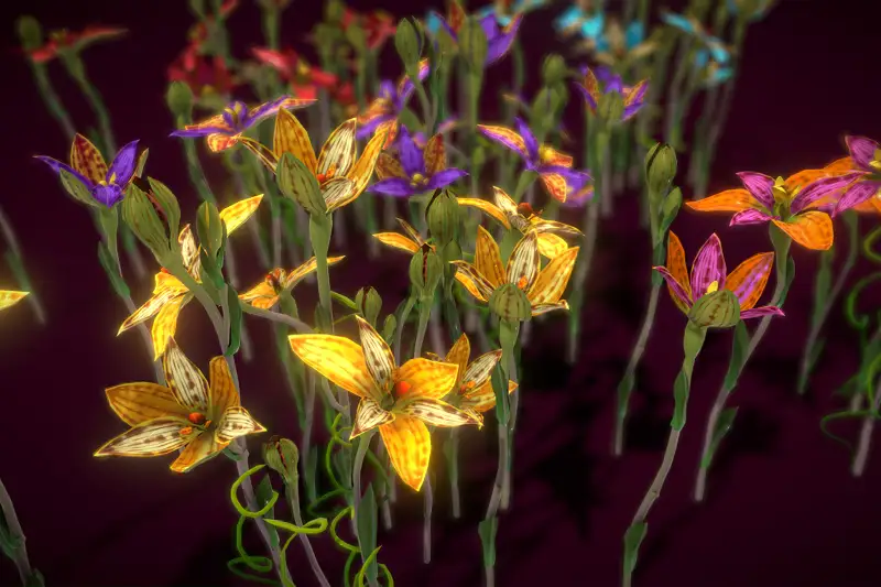 Flower Thelymitra Pulcherrima Asset Thumbnail