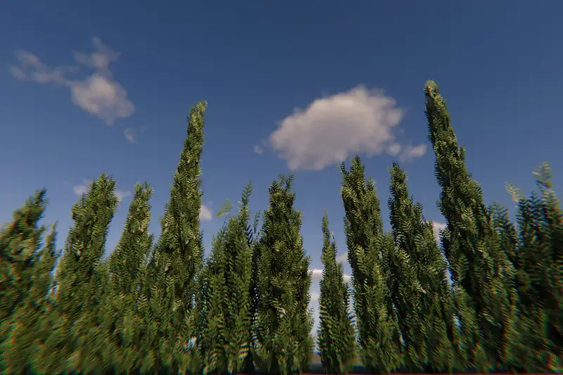Thuja Plants Nature Asset Asset Thumbnail