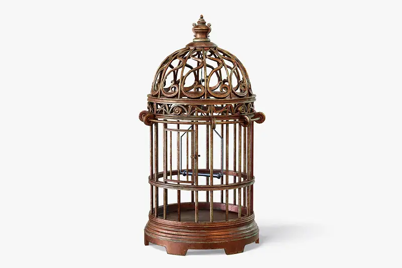 Birdcage Vintage Asset Thumbnail