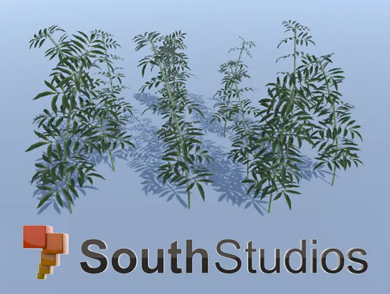 LowPoly Plant A04 Asset Thumbnail