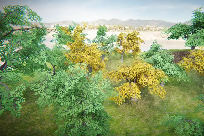 Realistic Green Ash Trees for Unity Asset Thumbnail