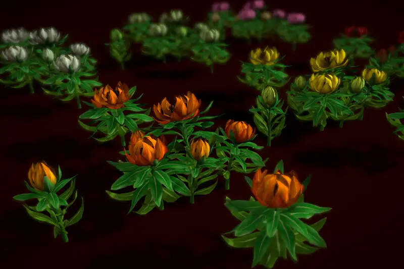 Flower Saussurea Involucrata Asset Thumbnail