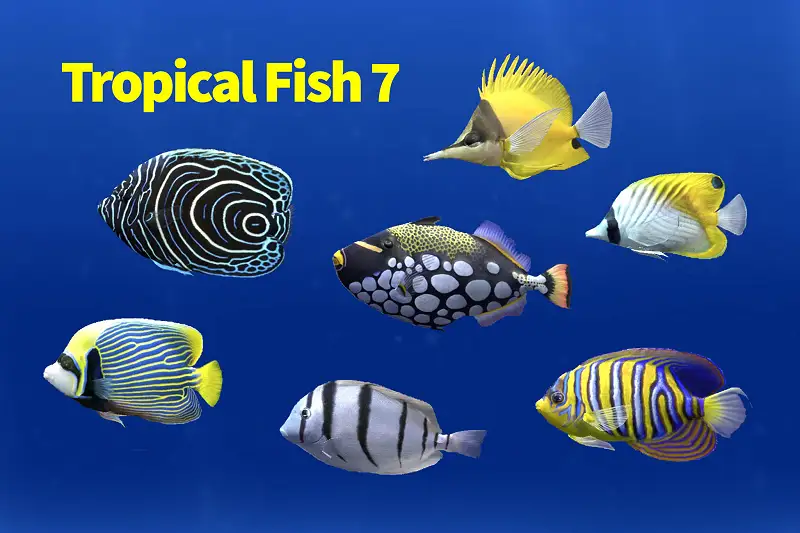 Tropical Fish Pack 7 Asset Thumbnail