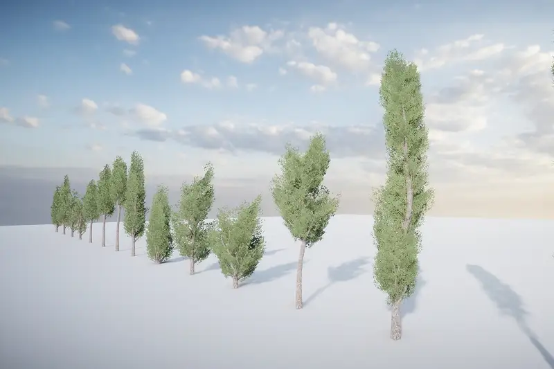 Realistic HDRP Tree Pack Asset Thumbnail