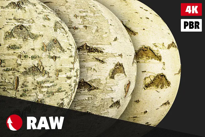 Birch Bark Textures Pack #4 Asset Thumbnail
