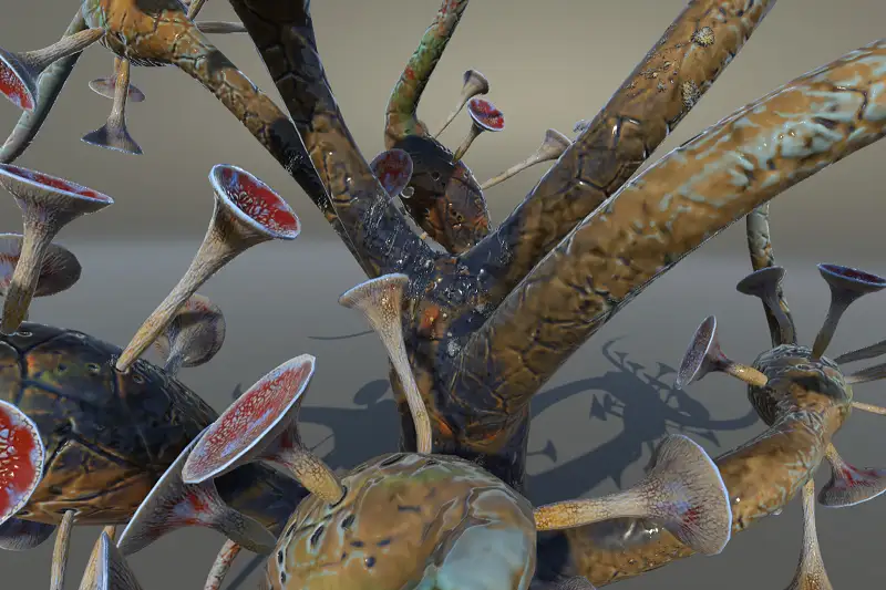 Alien Flora 38 Asset Thumbnail