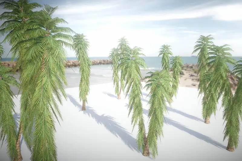 URP Palm Tree 9 (Mobile) Asset Thumbnail