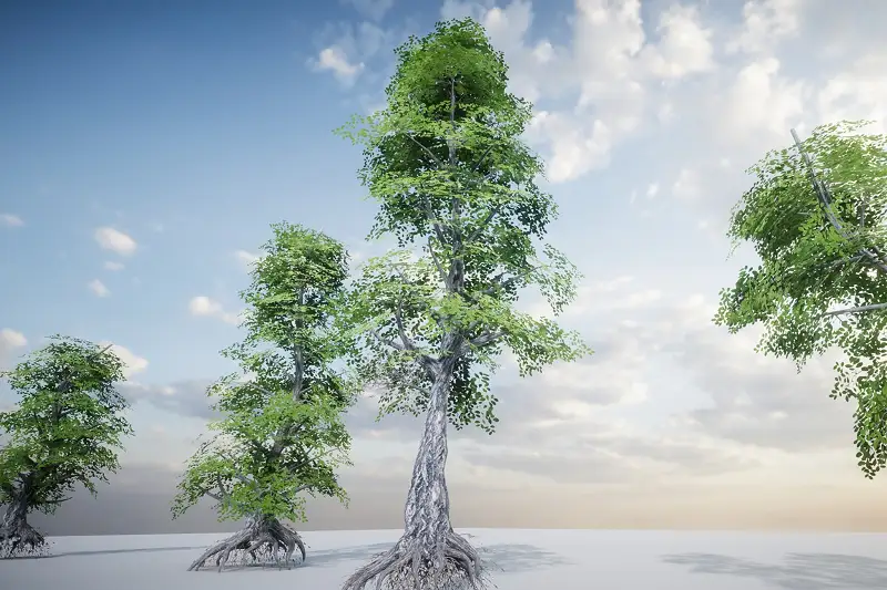 HDRP Tree Pack 3: Realistic Tree Models for Unity Asset Thumbnail