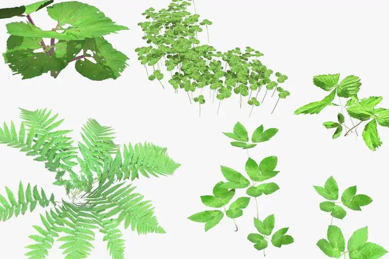 5 Plants Collection Pack Asset Thumbnail