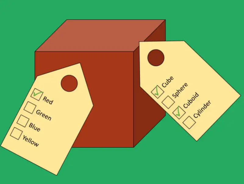 TagManagement Asset Image