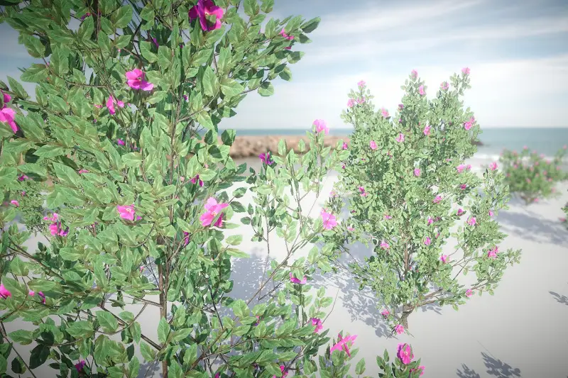 URP Flower Tree 4 (Mobile) Asset Thumbnail