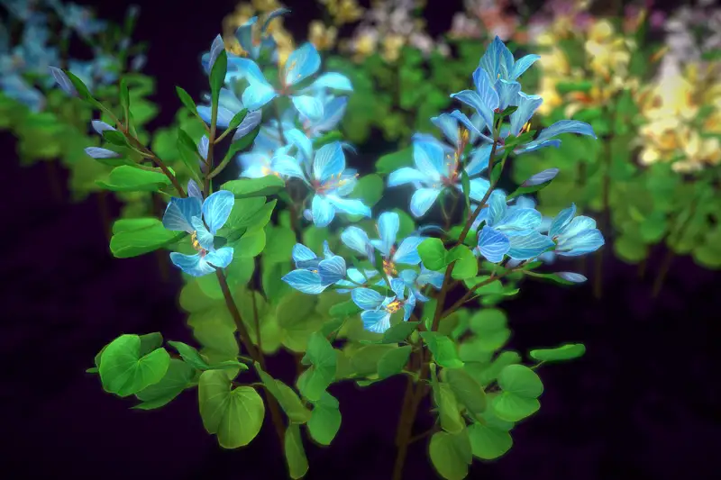 Flower Bauhinia Variegata Asset Thumbnail