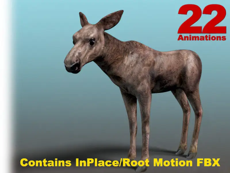 Forest Animal - Moose Calf (Young) Asset Image