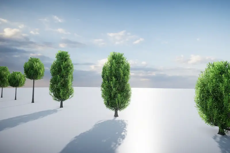 Realistic HDRP Tree Models Asset Thumbnail