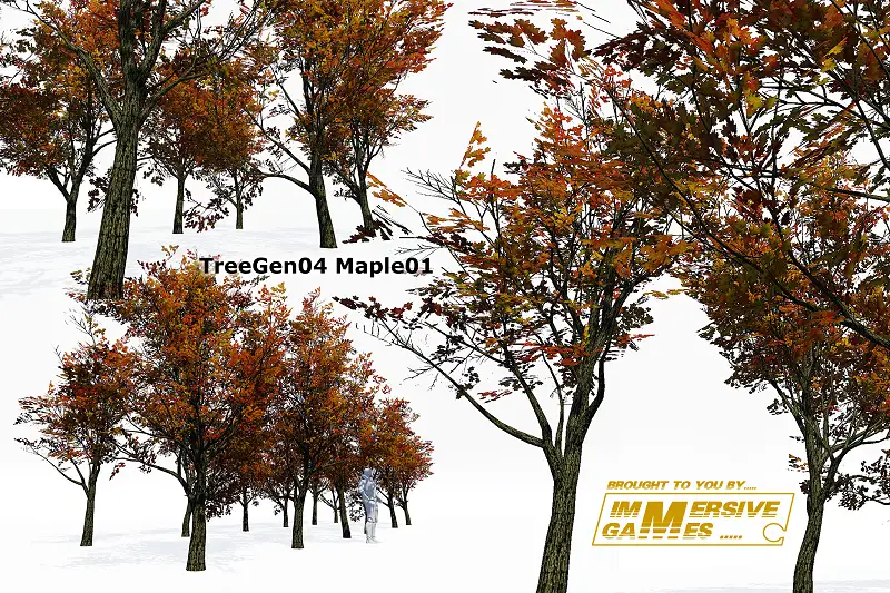 TreesGen04-Maple01 Asset Thumbnail