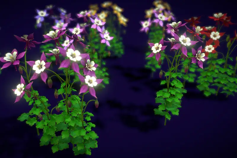 Flower Colorado Columbine Asset Thumbnail