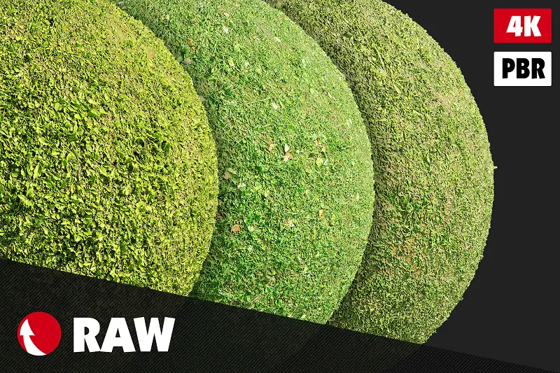 Grass Textures Pack #3 Asset Thumbnail
