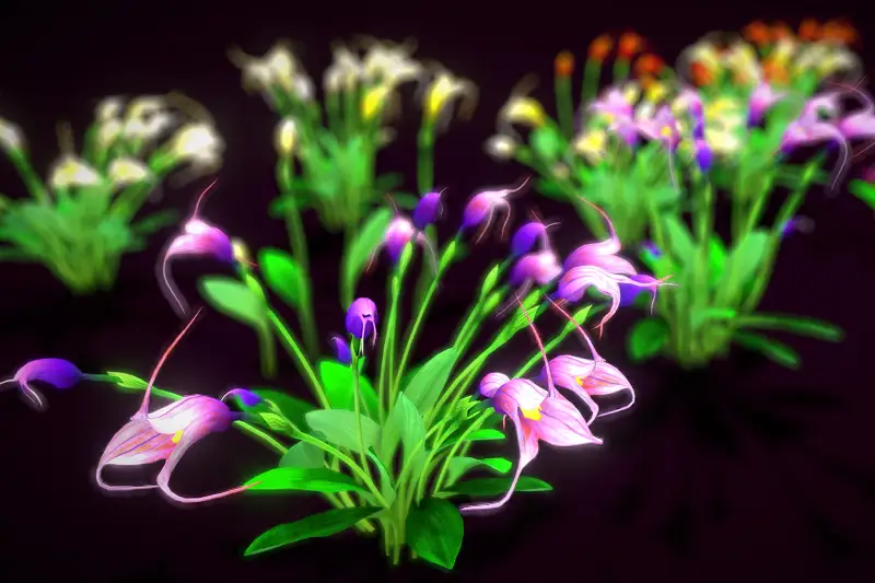 Flower Masdevallia Limax Asset Thumbnail