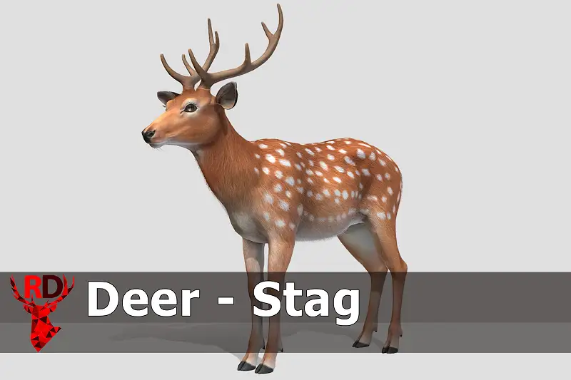 Realistic Deer Stag Model Asset Thumbnail