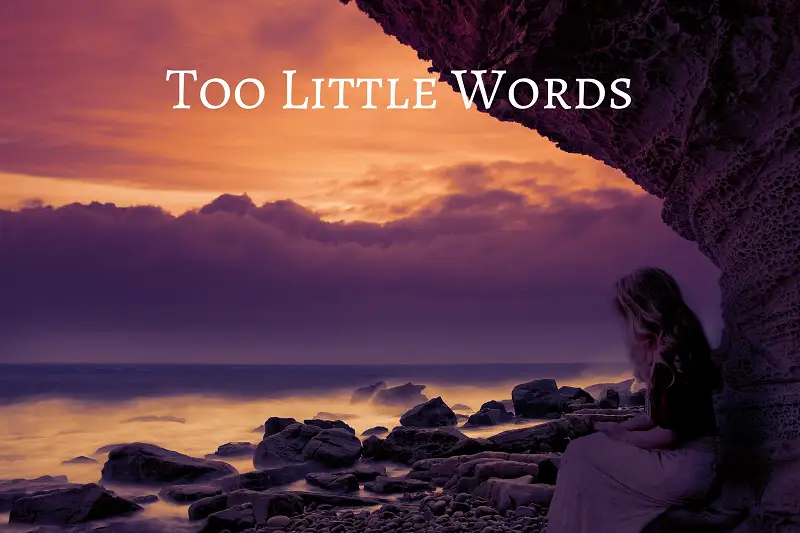 Too Little Words Asset Thumbnail