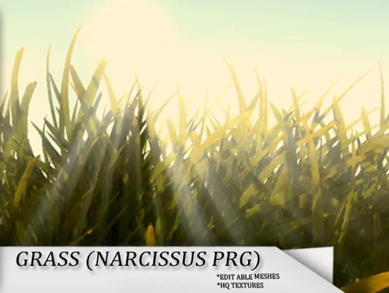 Grass (Narcissus Project) Asset Thumbnail