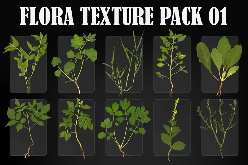Flora Textures 01 Asset Thumbnail