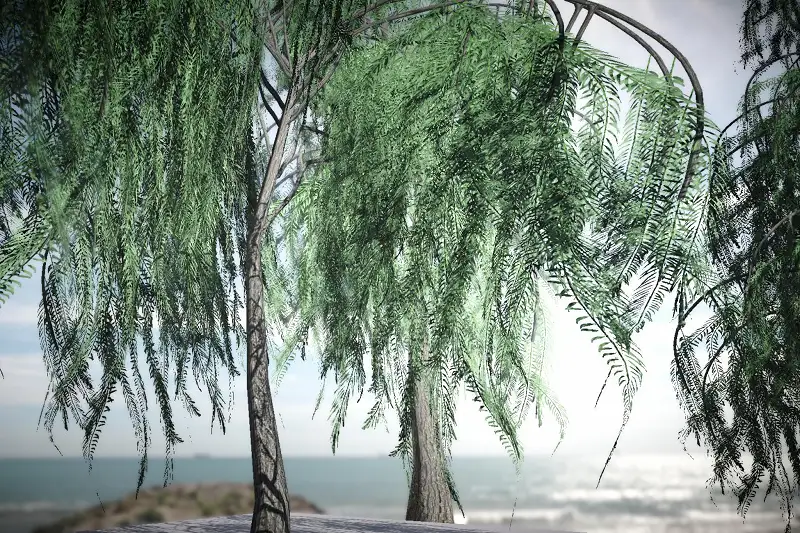 Optimized Willow Trees for Mobile and Other Platforms Asset Thumbnail